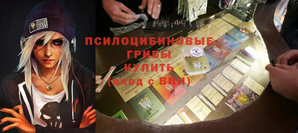 спайс Арсеньев