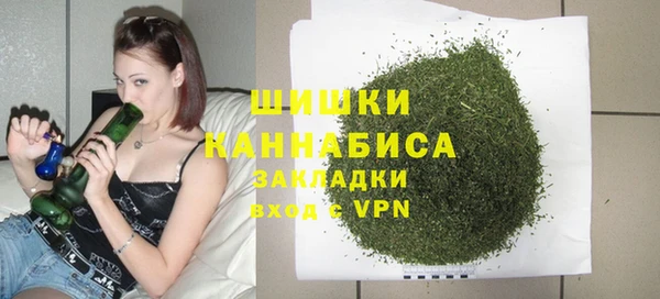 спайс Арсеньев