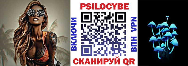 где купить   даркнет состав  Псилоцибиновые грибы мицелий  Нефтекумск 
